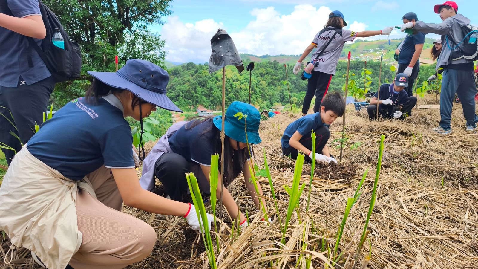 Pflanzaktion Im Schulwald Der CDSC Klassen 6 Und 7 Im Einsatz F r Die Pflanzaktion Im Schulwald Der CDSC Klassen 6 Und 7 Im Einsatz F r Die